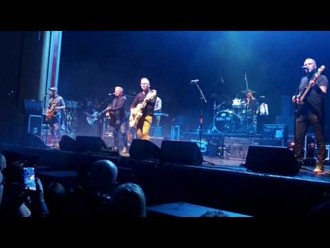 Saw Doctors - Glasgow - Exhilarating Sadness