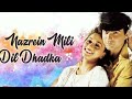 Nazrein Mili Dil Dhadka Mere Dhadkan Ne Kaha RAJA Sanjay Kapoor Madhuri Dixit Udit N Alka