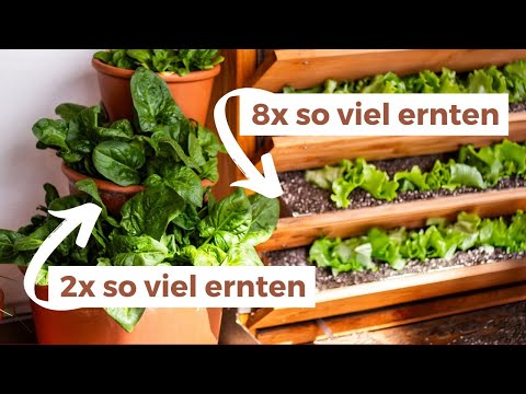 7 Tipps für eine große Ernte auf kleinstem Raum 🪴 Balkon | Handtuchgarten