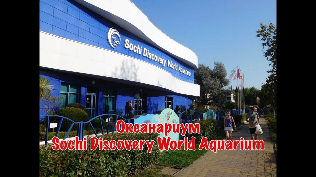 Сочинский Океанариум Sochi Discovery World Aquarium