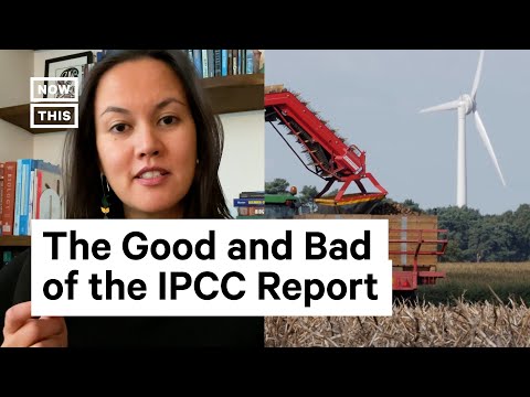 Author Breaks Down IPCC Report Findings #Shorts