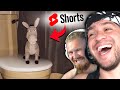 Narrator Made Me LAUGH So Hard I Cried Funny YT Shorts TikToks