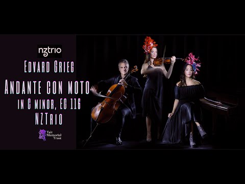 Andante con Moto in C minor EG 116, Edvard Grieg | NZTrio