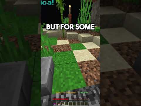 LilProvoke Short's - I JOINED A MINECRAFT EARTH SMP AND BUILT THE BEST HOUSE...