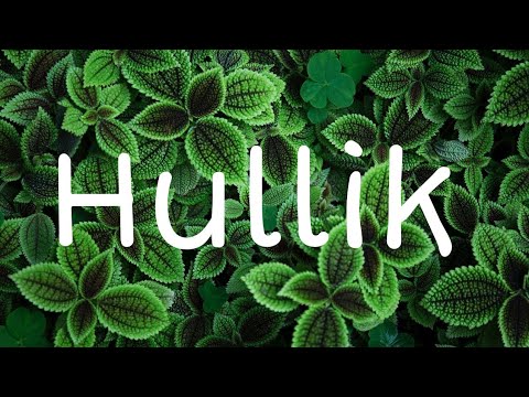 Byealex és a Slepp x Hiro - Hullik (Lyrics)