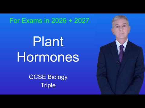 GCSE Biology Revision "Plant Hormones" (Triple)