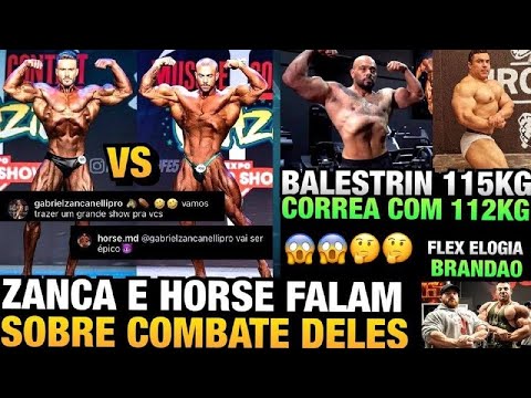 ZANCA QUER VENCER O HORSE + HORSE RESPONDEU - BALESTRIN GANHA 17KG - CORREA DE VOLTA + BRANDÃO