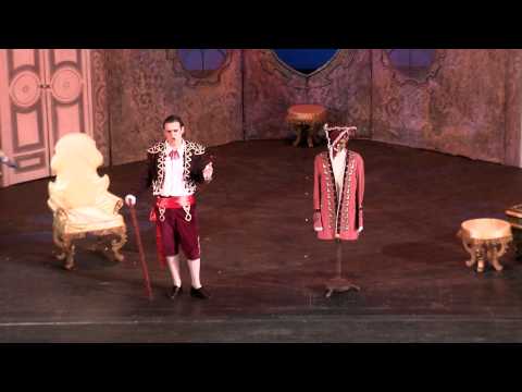 Figaro "Se vuol ballare' " Le Nozze di Figaro W.A.Mozart-Octavian Andrei Dumitru