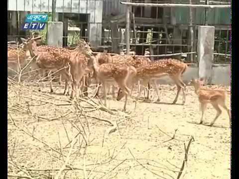 সুন্দরবনে বেড়েছে পর্যটকের ভিড়