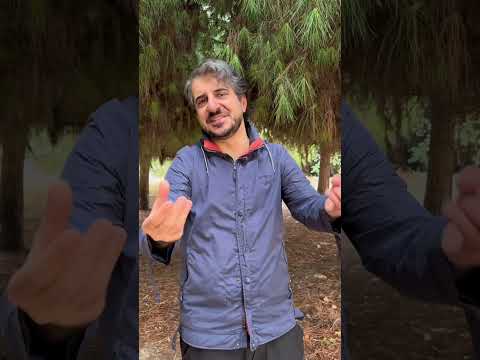 SHUTTER ISLAND Türkiye VERSION.