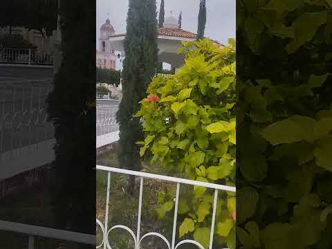 jardín de San Francisco de Rivas municipio dela barca Jalisco México