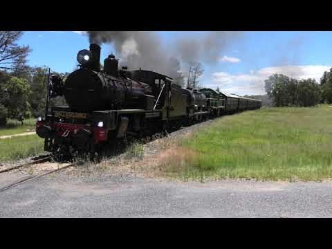 C17 971 + DH45 on a SDSR special at Severnlea 24/1/21.