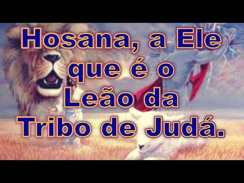 Tristezas E Alegrias video