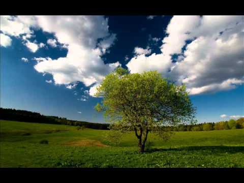 Brīvdiena  3 vārdi