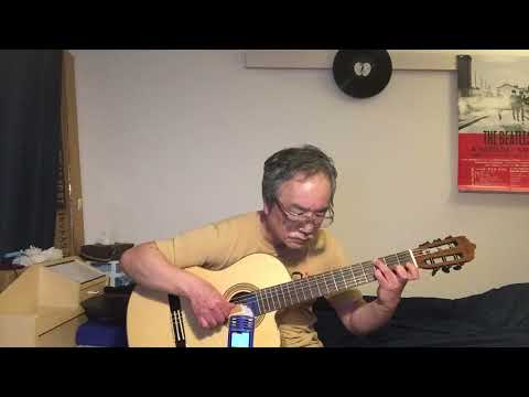 She Loves You (Fingerstyle guitar)