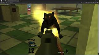 Custom town map I found on nzp zombies