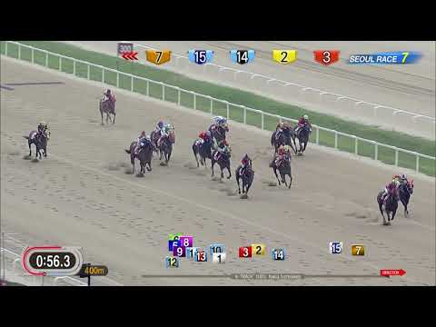 2017 Korea Sprint(Seoul R7 1200m)