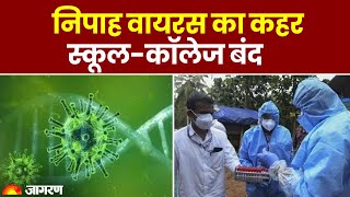 Nipah Virus News: Kerala में निपाह वायरस का कहर, स्कूल-कॉलेज बंद