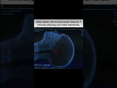 those last 7 minutes?…. #dream