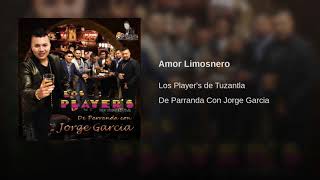 Amor Limosnero Lyrics English Translation