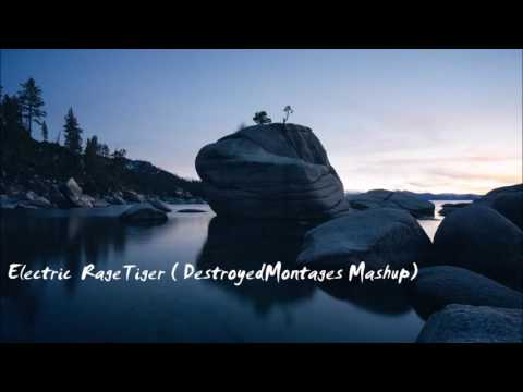 Jay Hardway/ R3hab/Sander van Doorn - Electric RageTiger (DestroyedMontages Mashup)