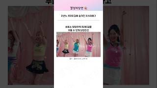 리센느 프리티걸에 숨겨진 이스터에그