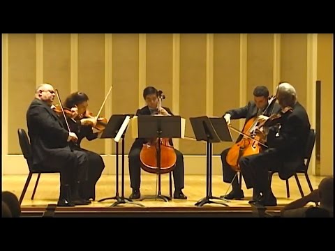 Franz Schubert String Quintet in C Major, D. 956 II. Adagio