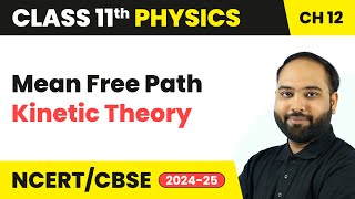 Mean Free Path - Kinetic Theory | Class 11 Physics Chapter 12 | CBSE 2024-25