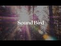Strange Talk - Young Hearts (The Chainsmokers ...