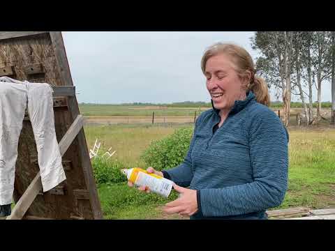 Waterproofed my snow pants see what happened