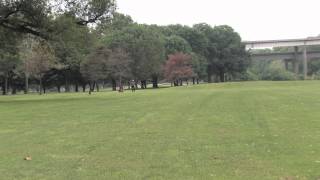 3 Best Golf Courses in Louisville KY Expert Recommendations