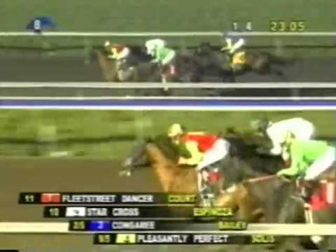 2004 San Antonio Stakes   Pleasantly Perfect