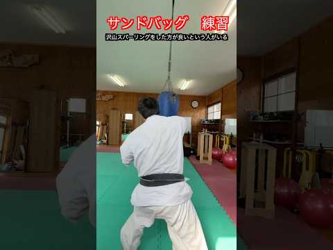 【武道・武術】サンドバッグ打ちは意味ない！？動かないものを打つ意味を解説！！　#aikido ＃karate #martial #武道 #空手＃合気道＃筋トレ#selfdefens