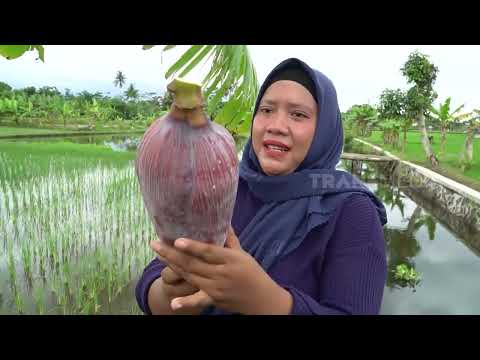 Menyulap Jantung Pisang Jadi Cemilan Nikmat | ENAH BIKIN ENAK (20/06/22) Part 3