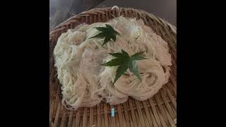 そうめん流しと炭火焼きを楽しめる伊佐市「奈加夢羅」 #shorts #伊佐市 #奈加夢羅 #鹿児島グルメ #そうめん流し #そうめん #炭火焼き