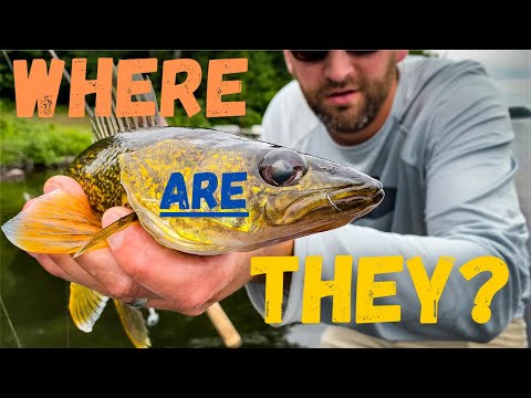 How I Find Fish Fast On a New Lake (multi-species scouting in northern WI)