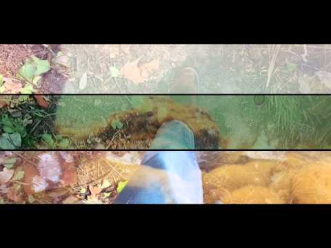 video frame placeholder