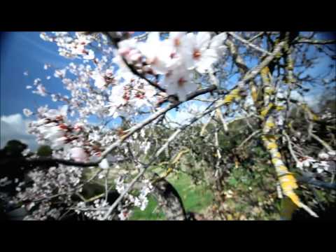 Andre Visior - Island Of Dreams (Miroslav Vrlik & Andre Visior Rework 2015) Music Video