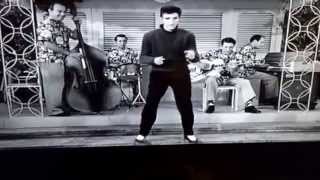 Elvis Presley-you&#39;re so square (Baby I don&#39;t care)