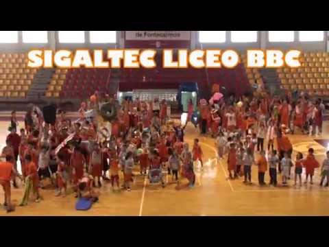 Libdub Sigaltec Liceo BBC 13/14 - TIMBER