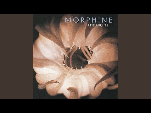The Night - Morphine