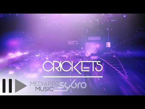 Sybro - Crickets (Online Video)
