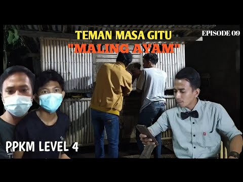 film-pendek-maling-ayam-teman-masa-gitueps9