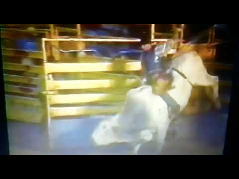 lendas do rodeio rogerio ferreira 👊🐂