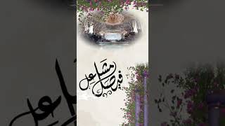 نوركم غطى المكان