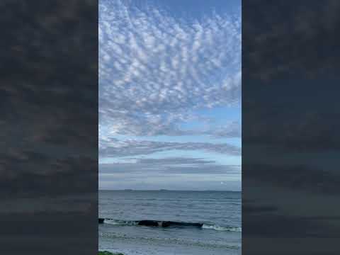 #shorts #youtubeshorts #moj #viralbhayani #beach vibes #tiktok beach reels songs #africa instareels