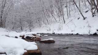 preview picture of video '60 Seconds of Bullpasture River in Snow'