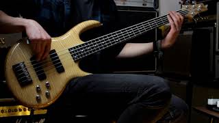 Video thumbnail for Carvin ICON IC-5 USA 2007 by Guitarbank Moscow