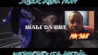 Wali Da Great Blue Flag (Reaction) Pt 2 User Requested