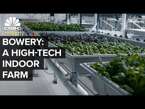 Bowery Outperforms A Square Foot Of Farmland | CNBC